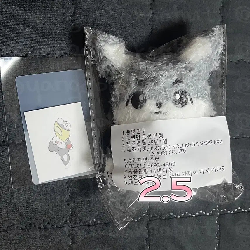 데이식스 원필 인형 필댕이 양도