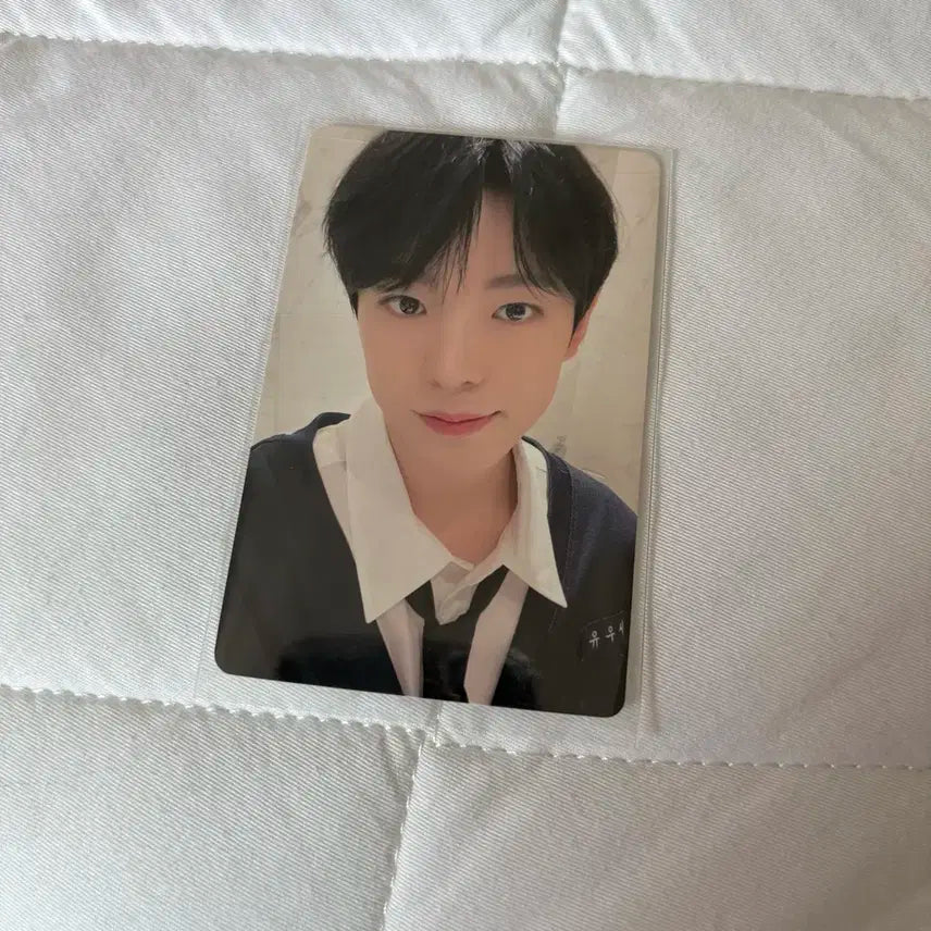 엔시티위시 유우시 송버드 이즈위 포카