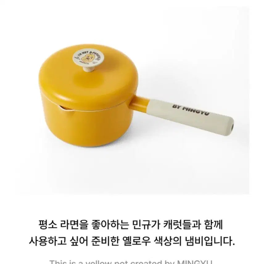 세븐틴 아티스트메이드 민규 냄비