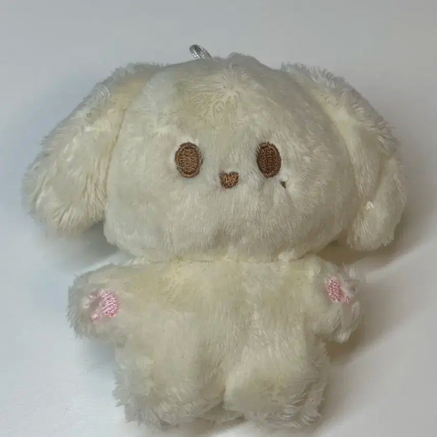 Nct 정우 정블리