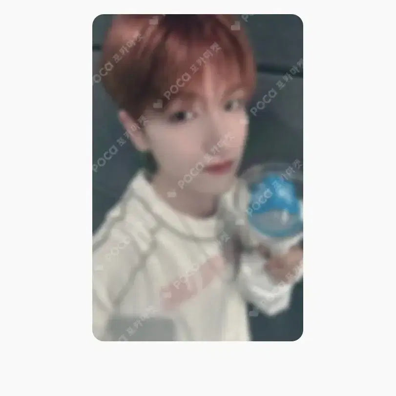 보넥도 보이넥스트도어 리우 낙원 낙온 원도어존 포카 판매