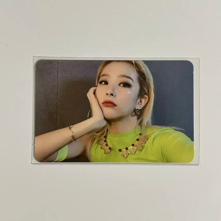 레드벨뱃 슬기 RBB 포카