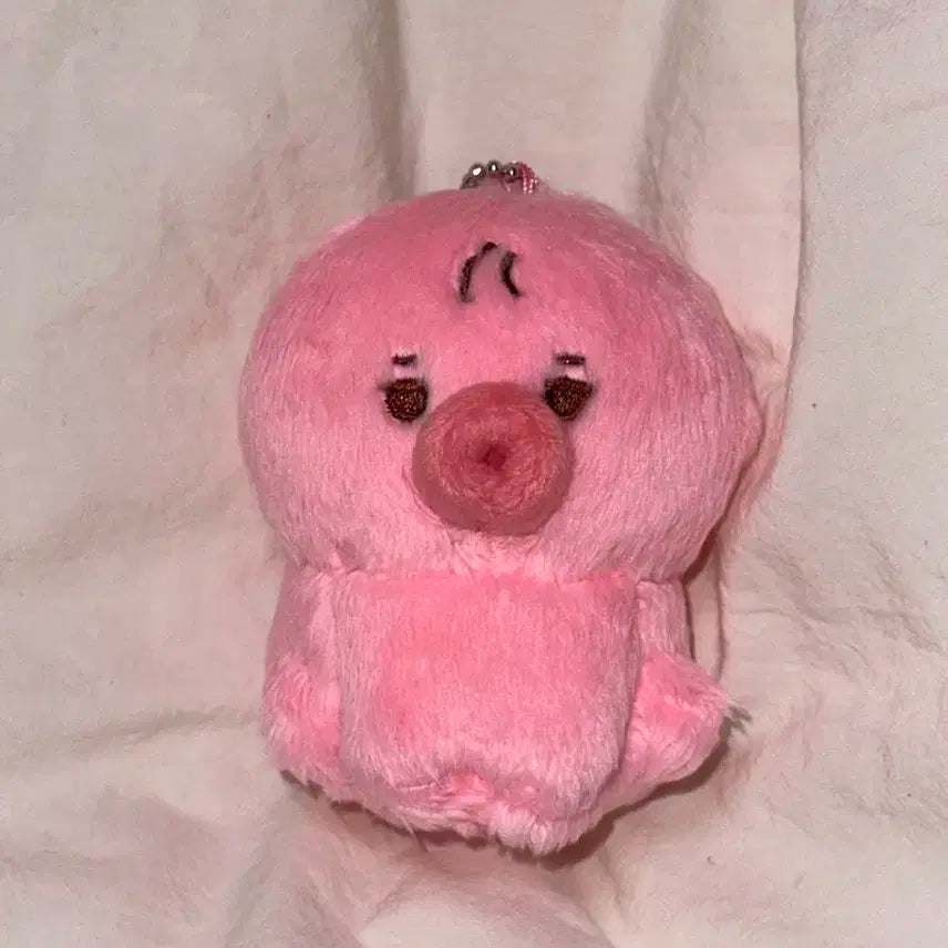 더보이즈 선우 인형 떤코 8cm 2차 양도