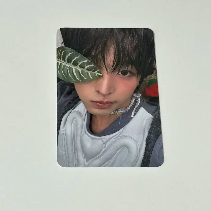 엔시티위시 리쿠 케타포 컬러 미공포