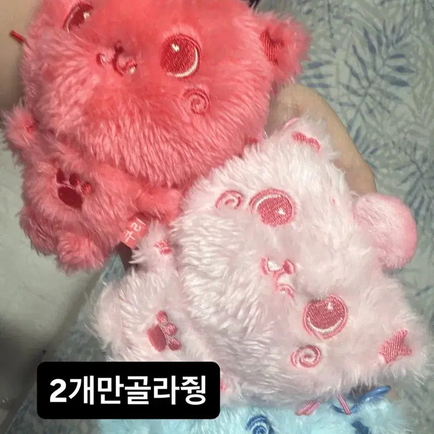 엔시티위시 컬러 팝업 리쿠 쿠리 핑크 레드