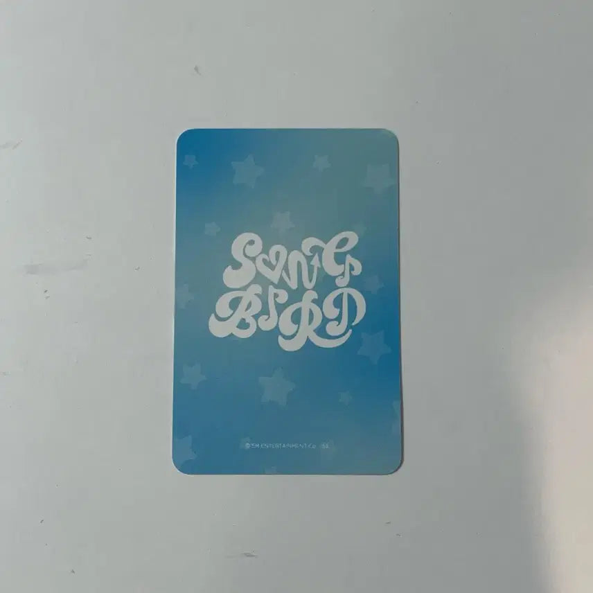 엔시티 위시 유우시 포카 송버드