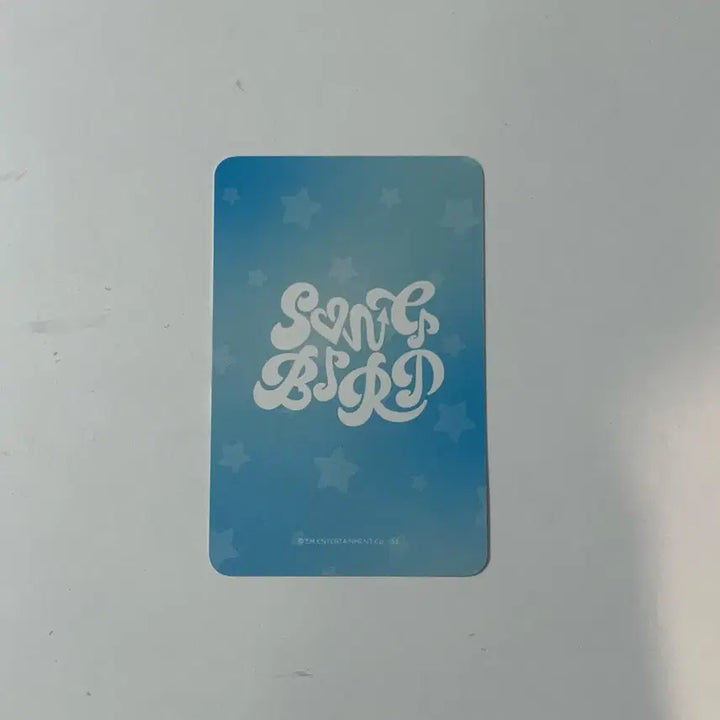 엔시티 위시 유우시 포카 송버드