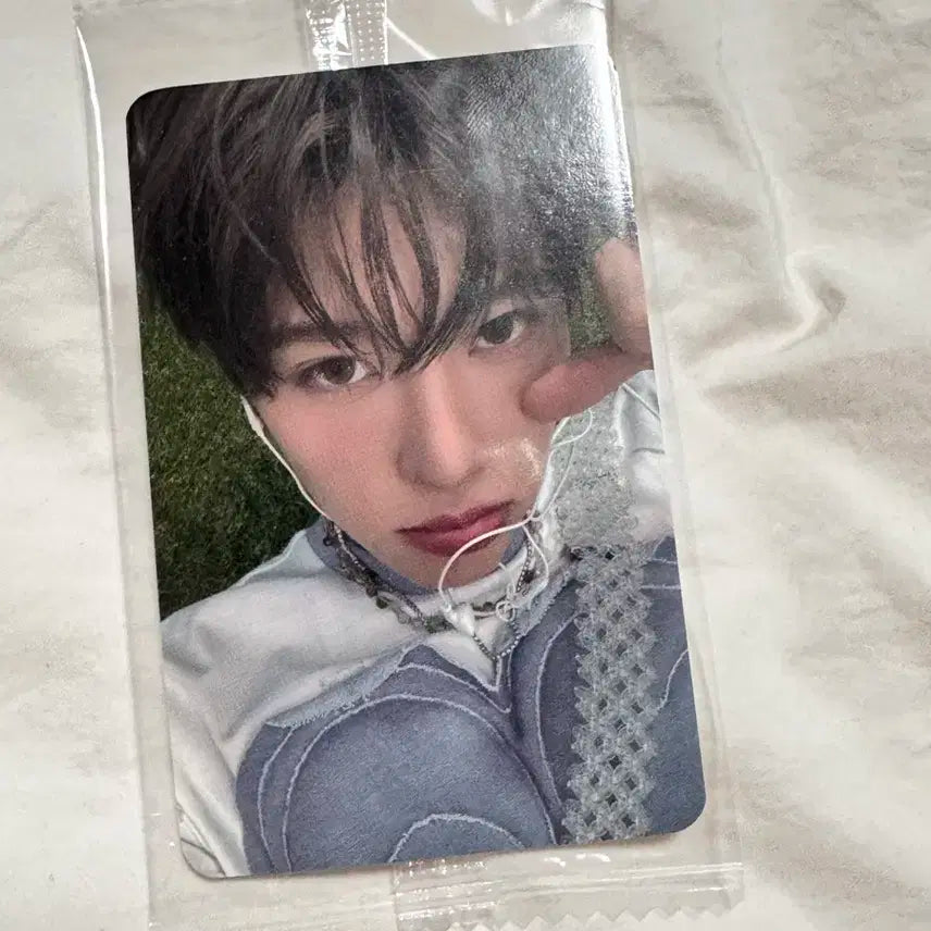 엔시티위시 컬러 미공포 케타포 시온 포카