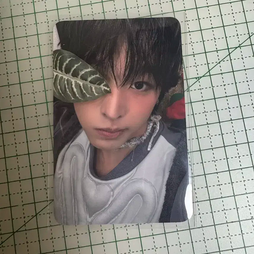 엔시티 위시 컬러 케타포 리쿠 포카 미공포 양도