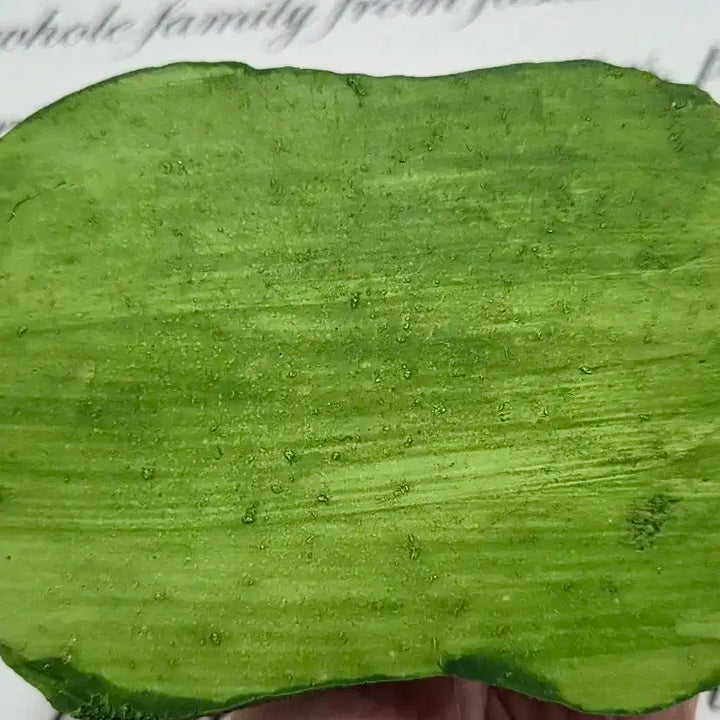 나무 그루터기 꽃밭 피규어