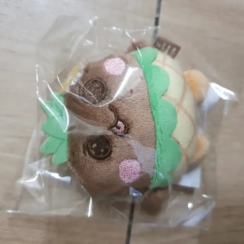 라이즈 팝업 인형 키링