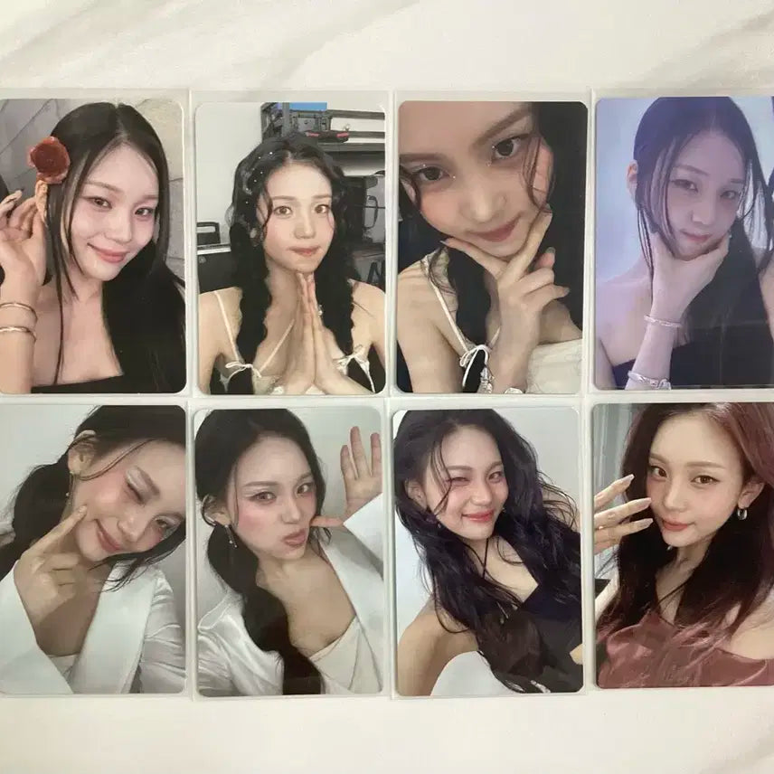비비지 엄지포카 일괄판매