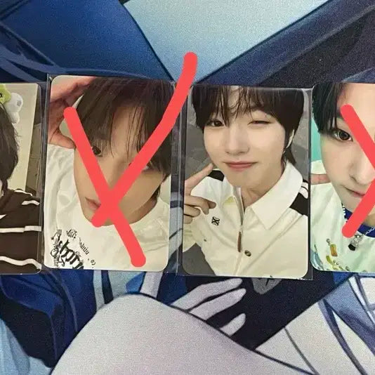 에버랜드 에버위시 사쿠야 포카 양도 위츄
