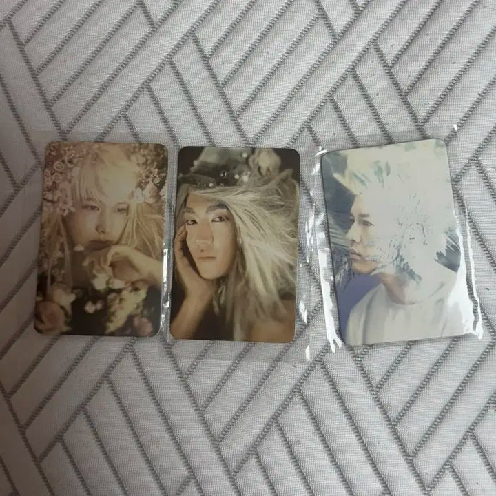 슈퍼주니어 6집 포카 양도 시원 성민 신동