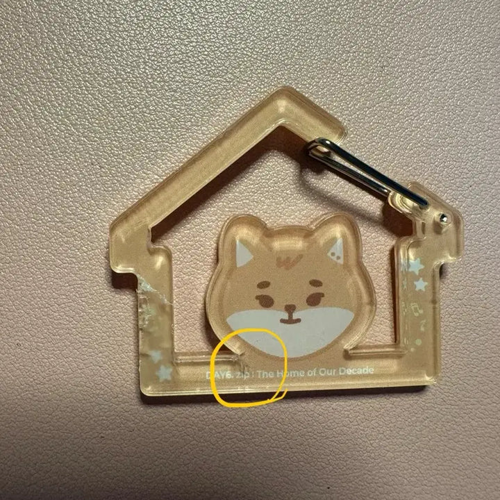 데이식스 카라비너 영케이 케