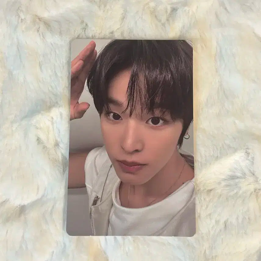 엔시티위시 컬러 쥬얼 앨범 리쿠 위버스 포카 미공포