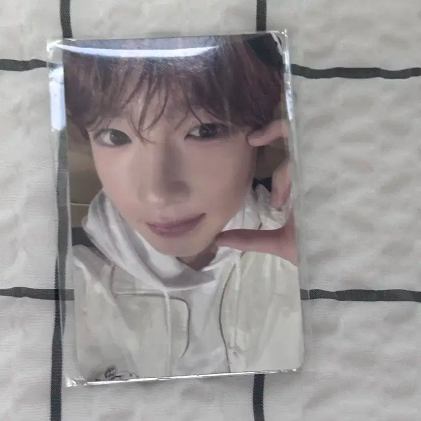 엔시티위시 컬러 팝업 특전 사쿠야