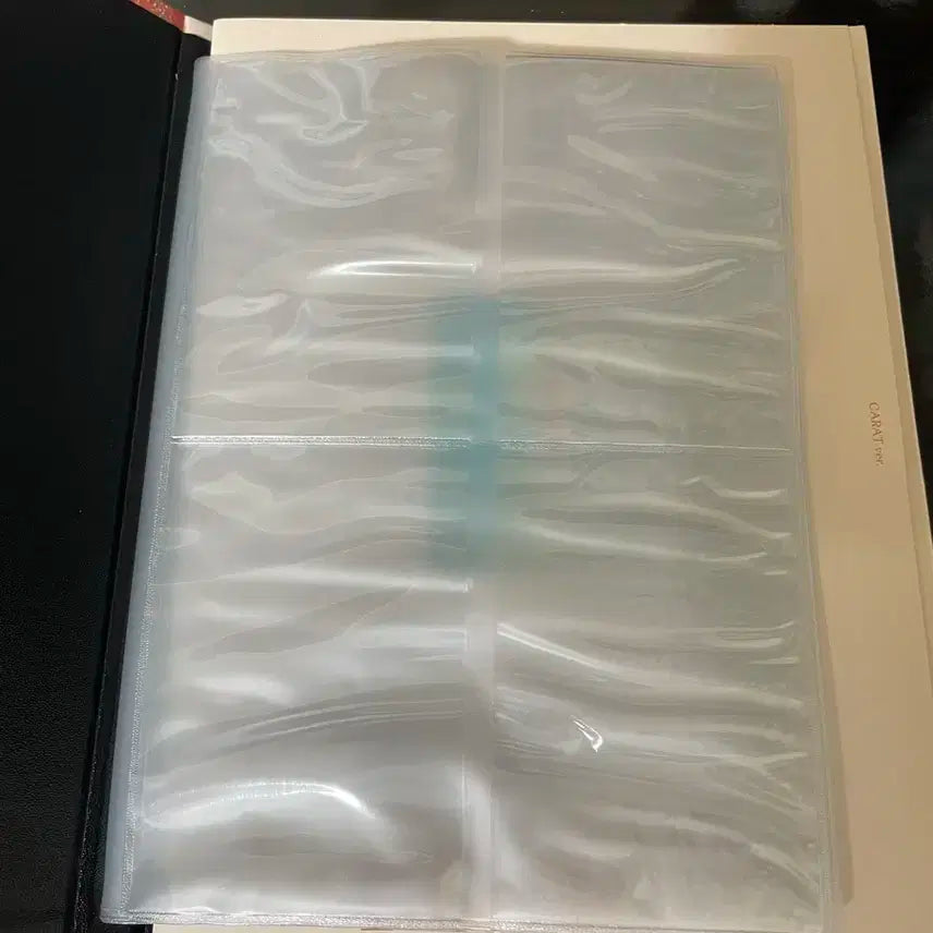 페더썬 민규 캐럿반