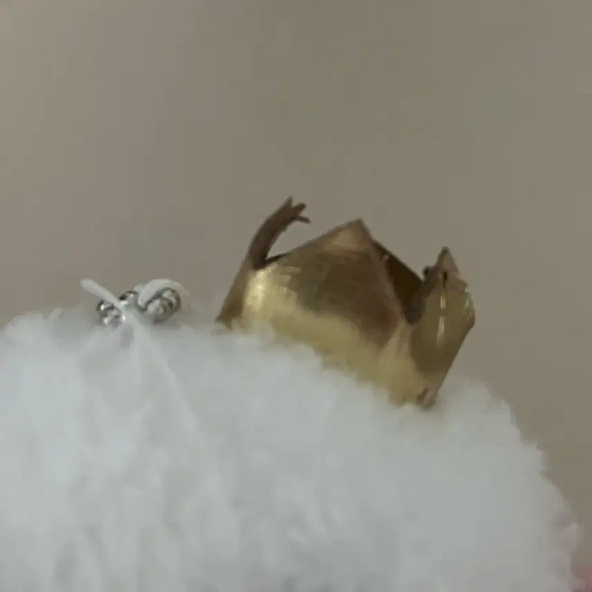 트레저 일본 트루즈 요치