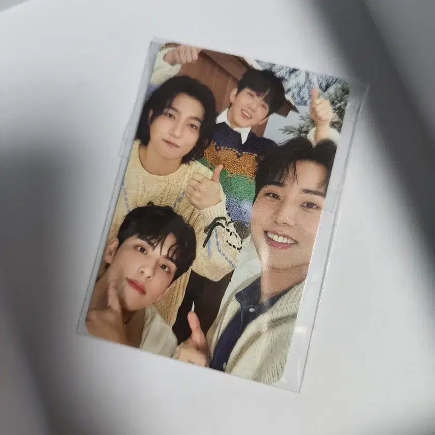 데이식스 데니멀즈 할리갈리 단체포카(퍼플:코리아보드게임즈)