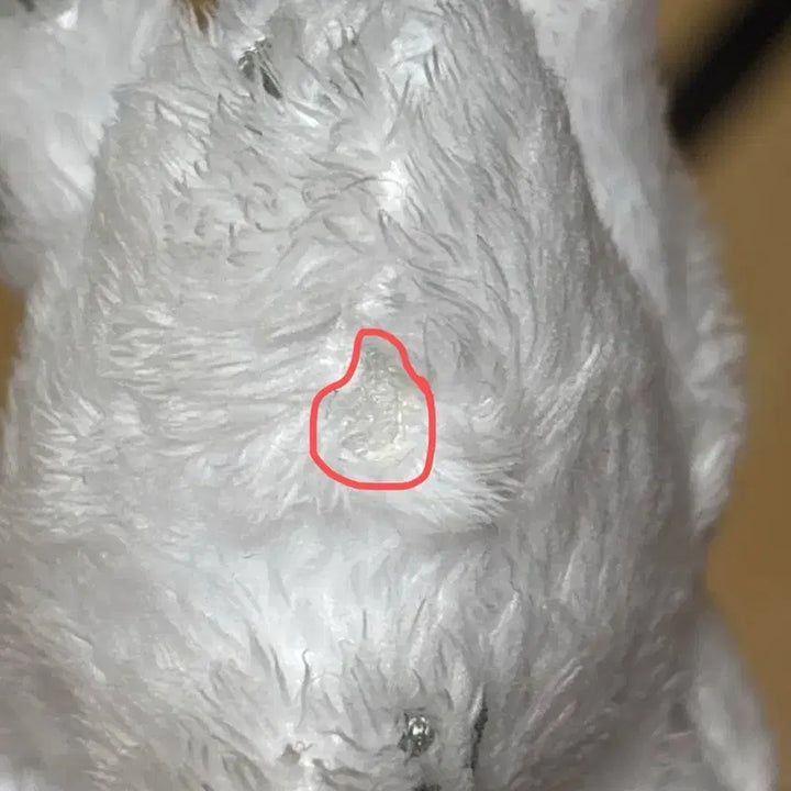 세븐틴 호시 10cm 인형 호찌 양도