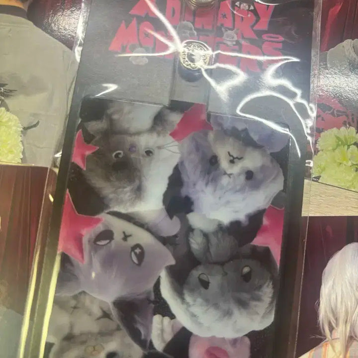 엑스디너리 히어로즈 엑디즈 뷰마콘 서울콘 중막 입장포카 양도