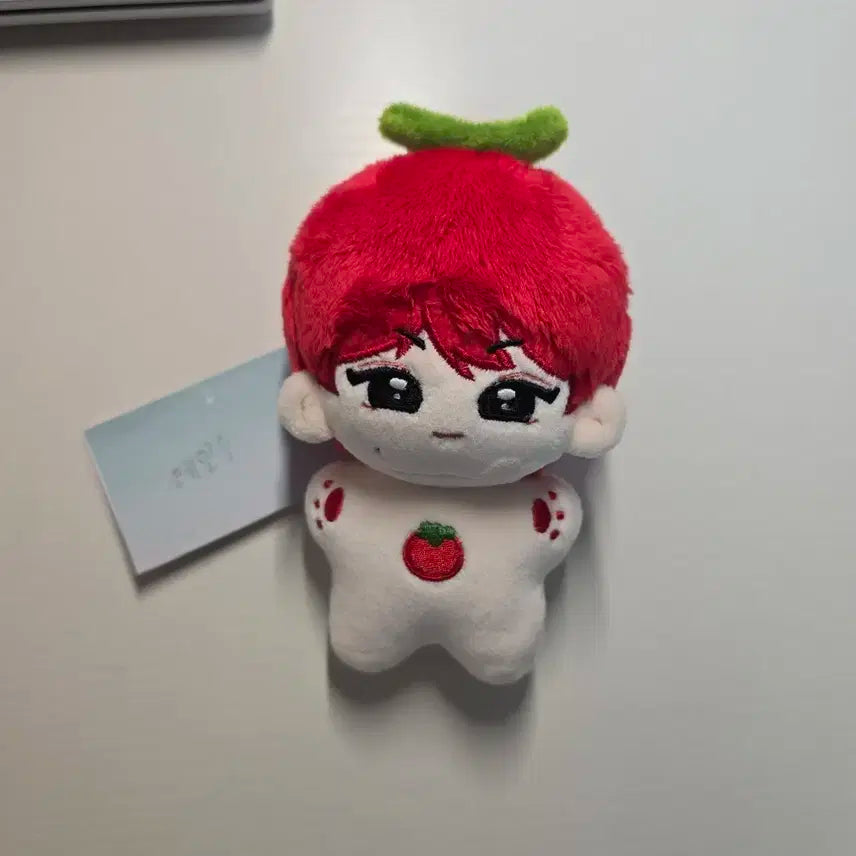 엔하이픈 양정원 10cm 인형 양도