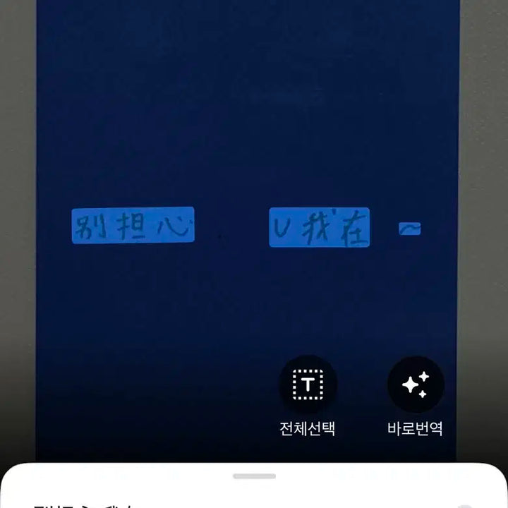 엔시티위시 유우시 아레나옴므 중국잡지 특전 싸인 폴라