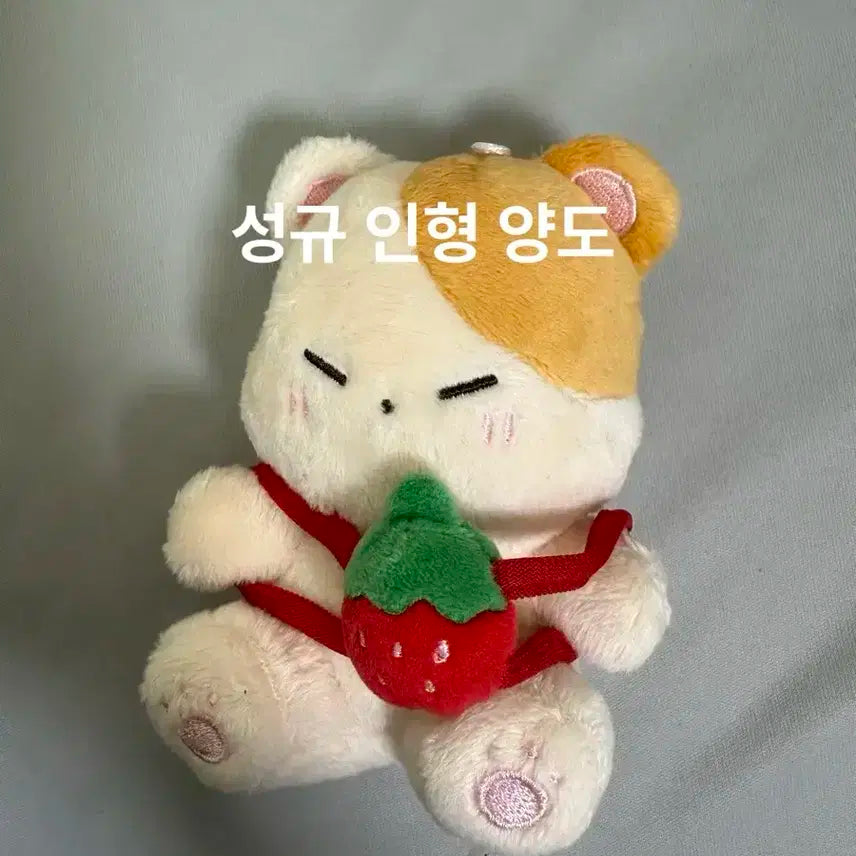 인피니트 성규 인형 뀨콩 양도