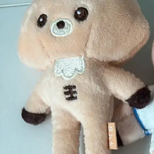 라이즈 성찬 인형 양도