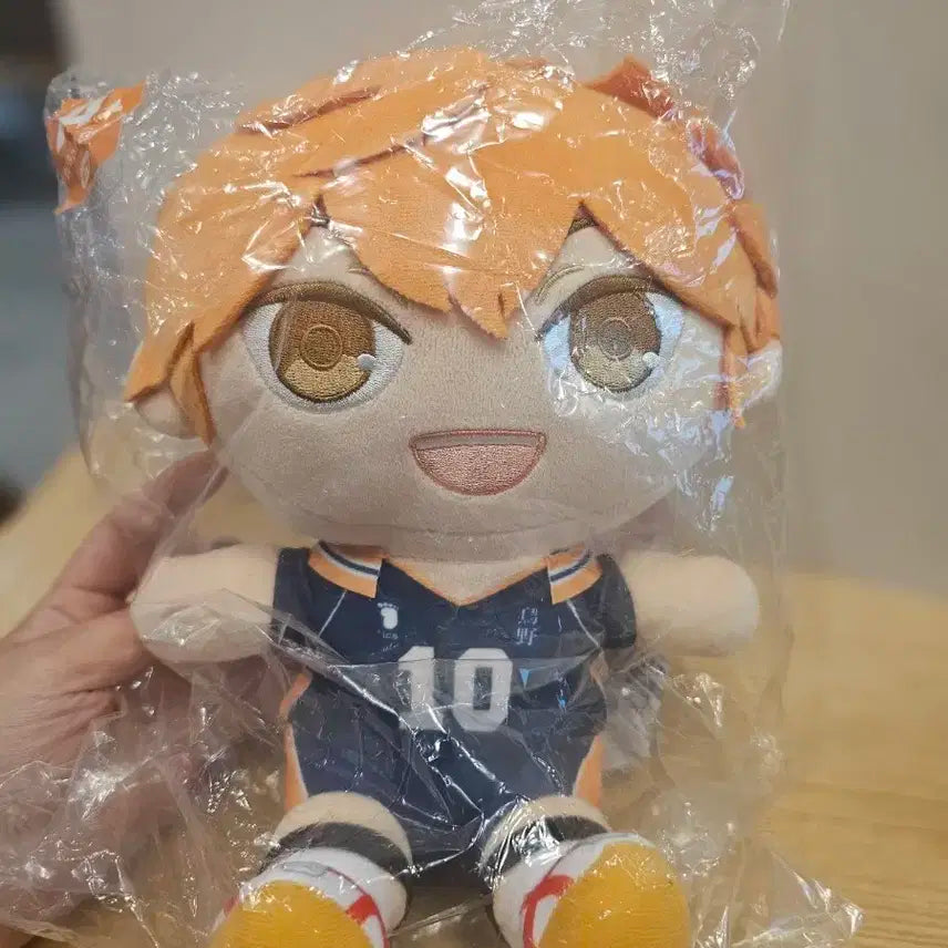쿠지) 하이큐 히나타 쇼요 인형 팝니다.