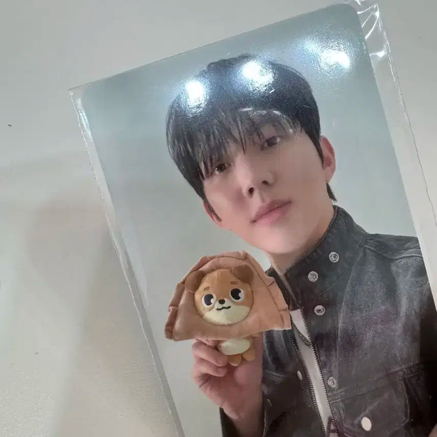 피날레 4만원 엠디 포카 미개봉