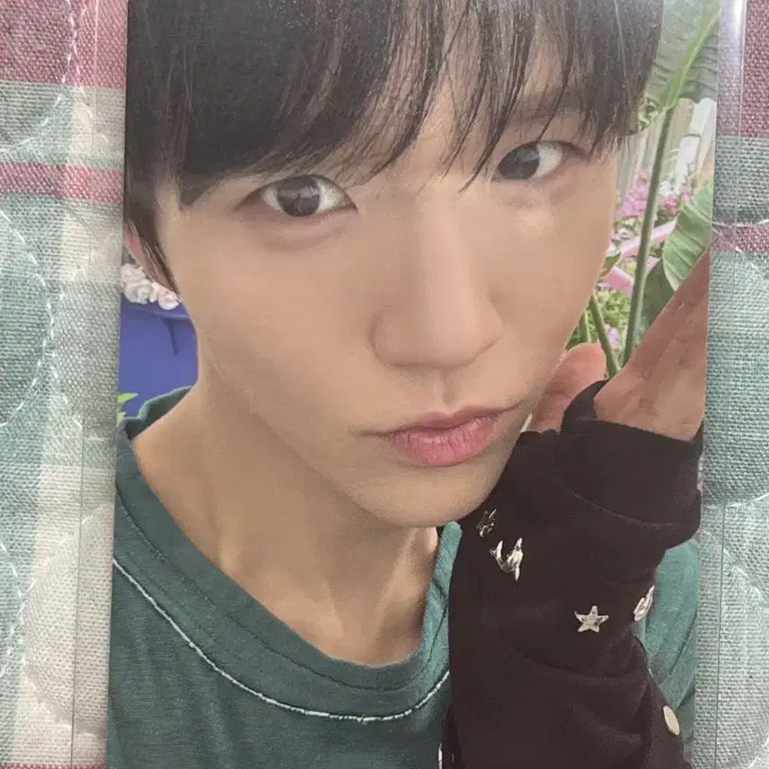 컬러 재희 포카