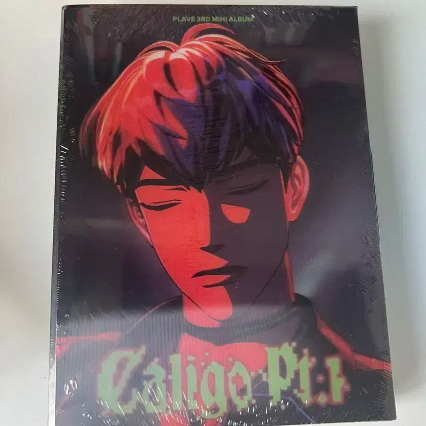 플레이브 칼리고 미개봉 앨범 하민