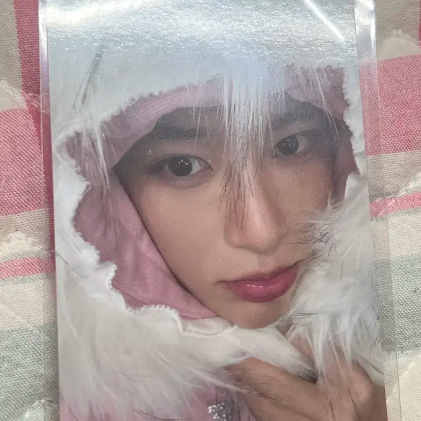 미라클 시온 포카