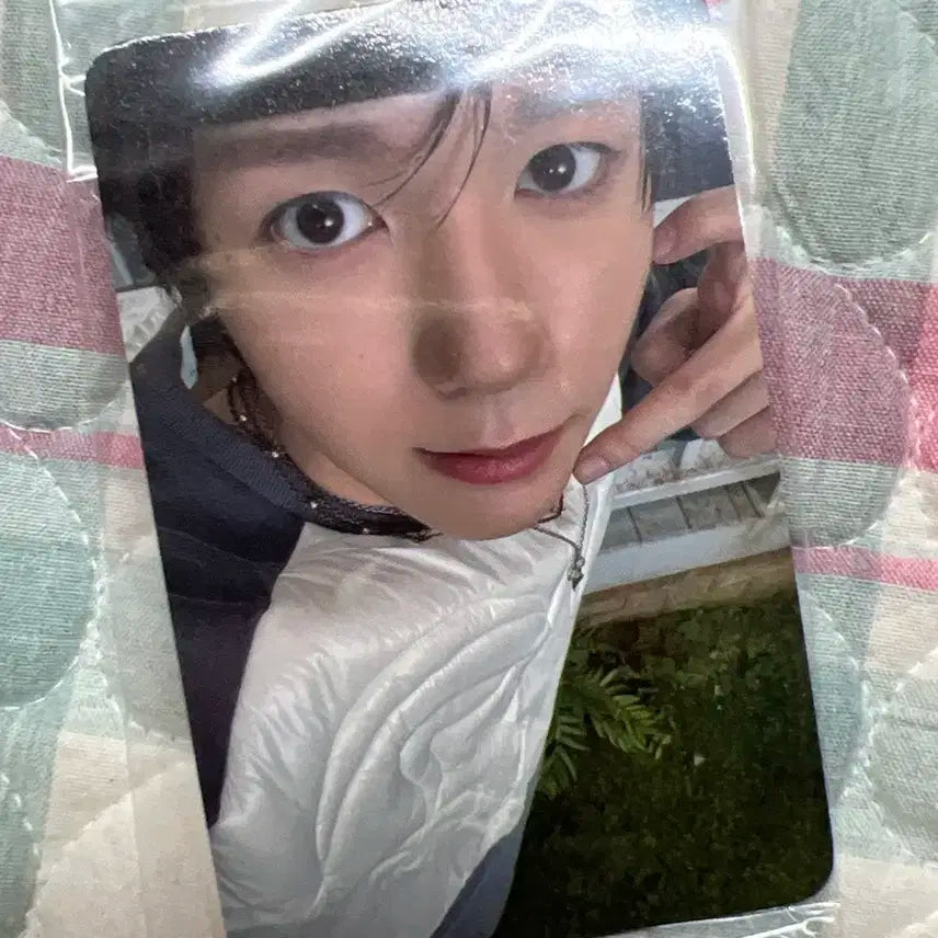 케타포 컬러 미공포 료 포카