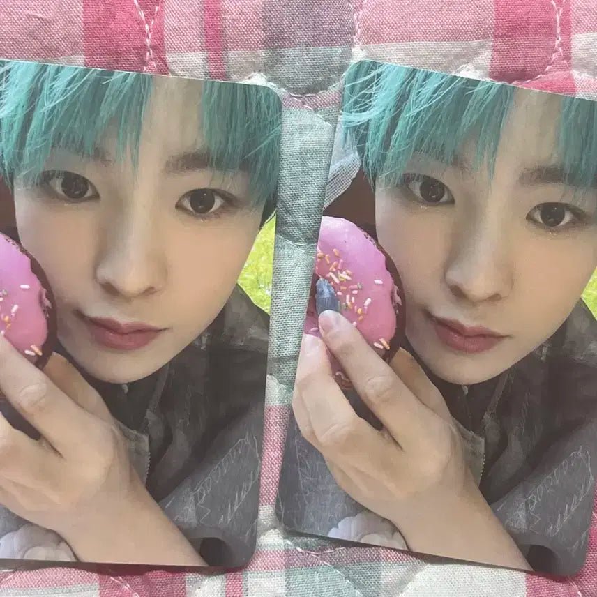 송버드 레터버전 유우시 포카