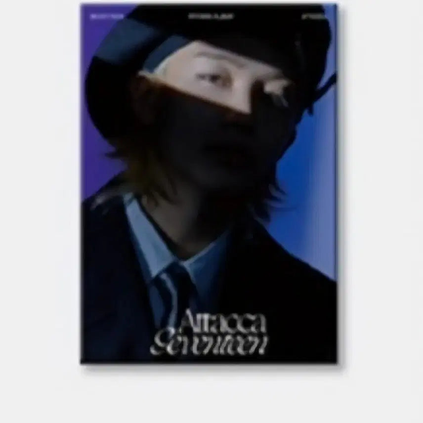 세븐틴 정한 아타카 캐럿반 양도