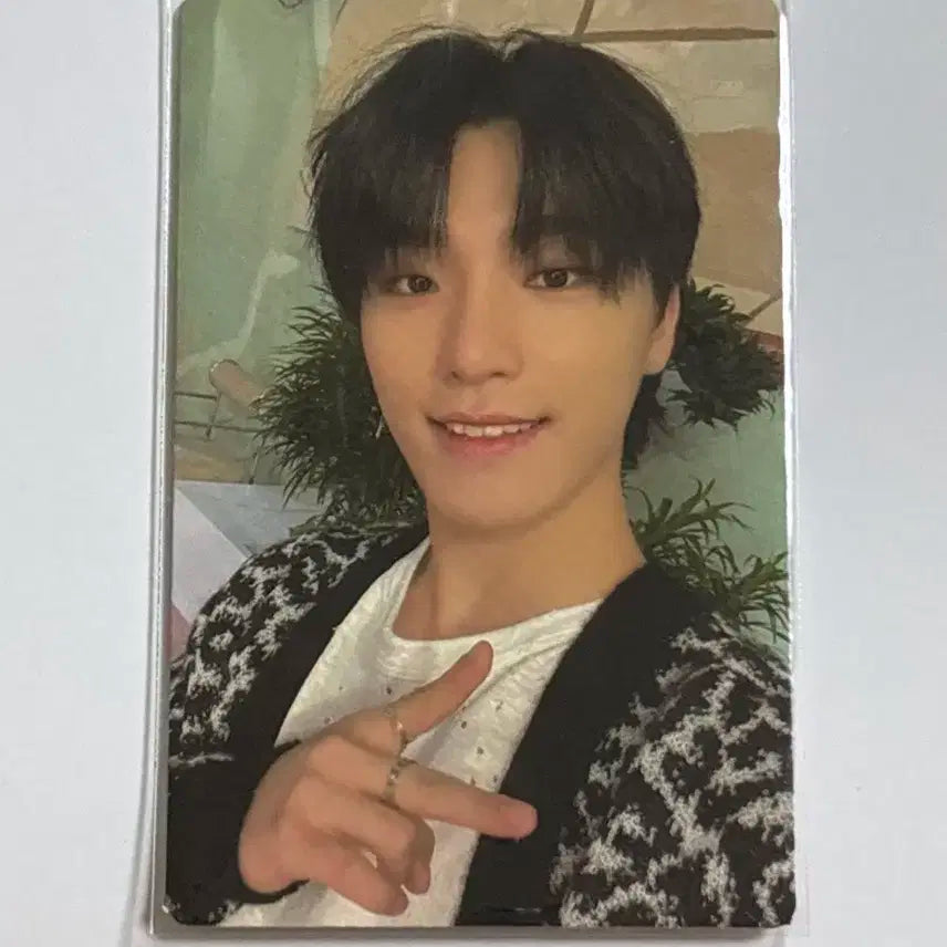 세븐틴 이찬 포카