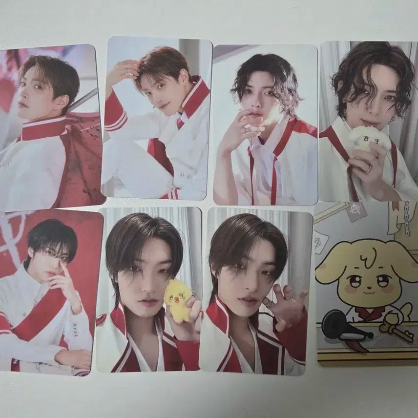 애니티즈인더콜링 포카