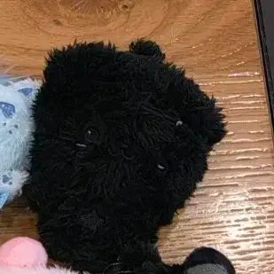 엔시티 위시 블랙 버블냥