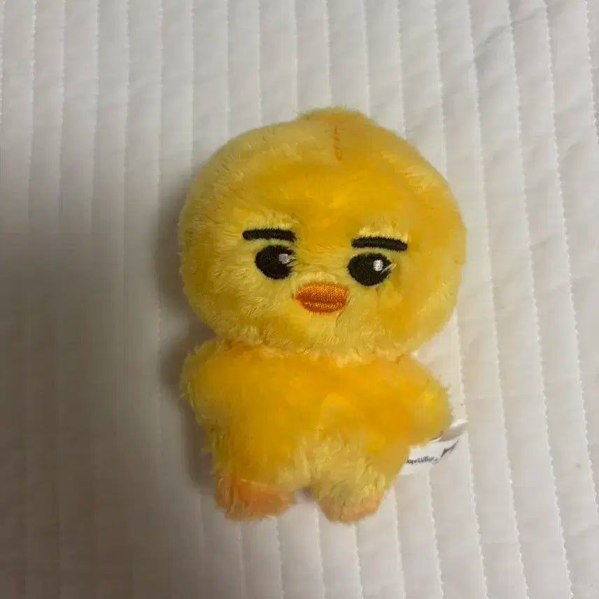 엔하이픈 니키 인형 일본뺙