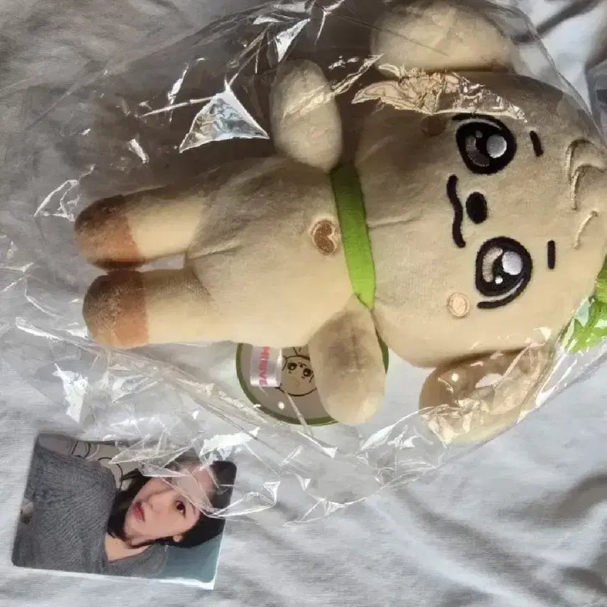 유진7만원특전 포카&오리지날인형 미니브팝업