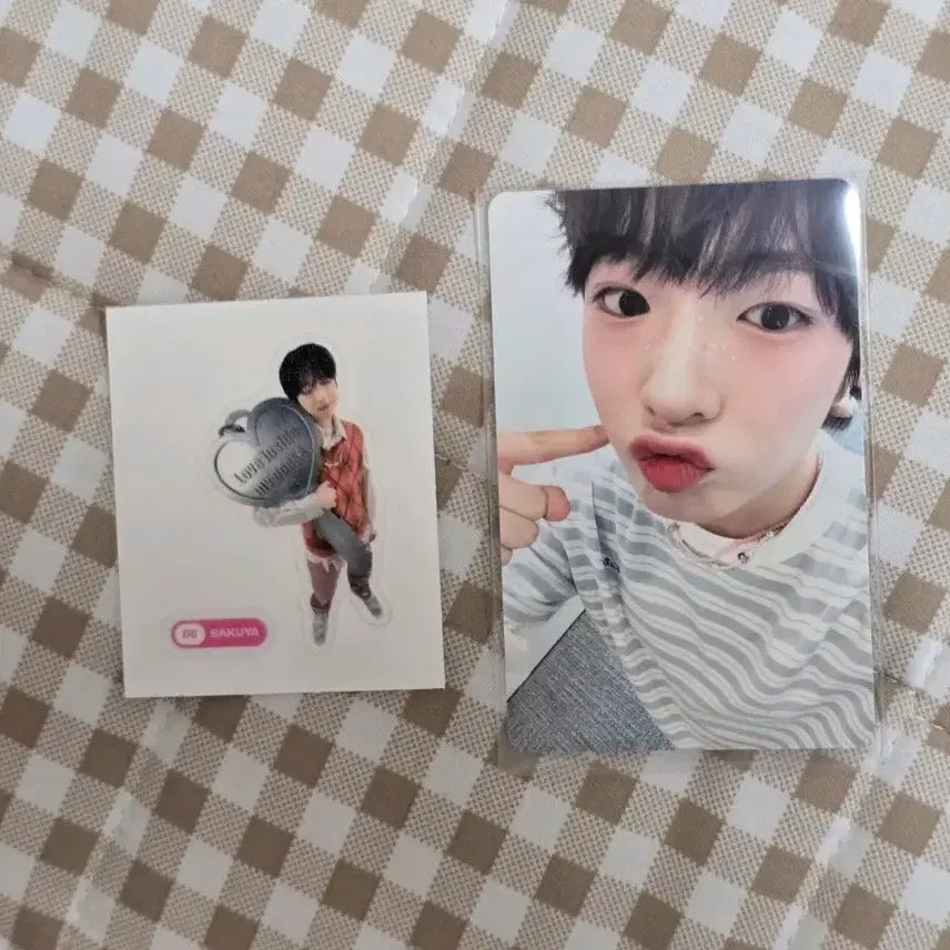 엔시티위시 사쿠야 띠부씰,포카 일괄양도