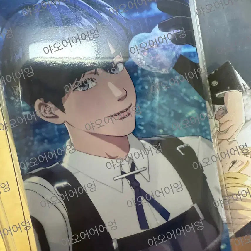 플레이브 웨포럽 hmv1차