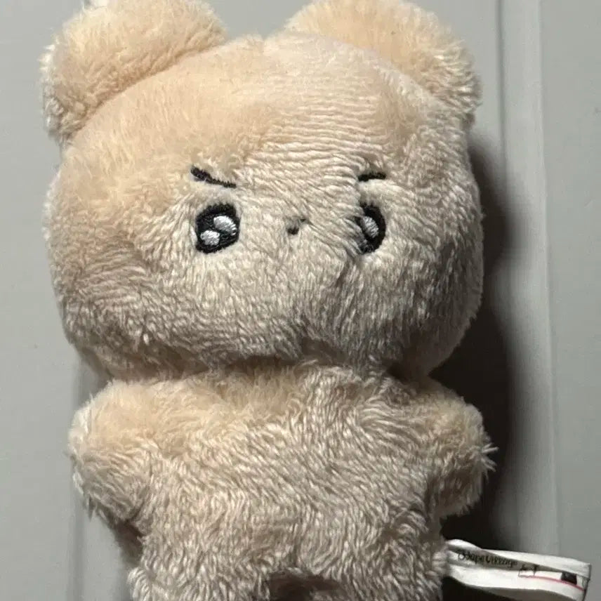 횬도리 더보이즈 현재 인형 이재현