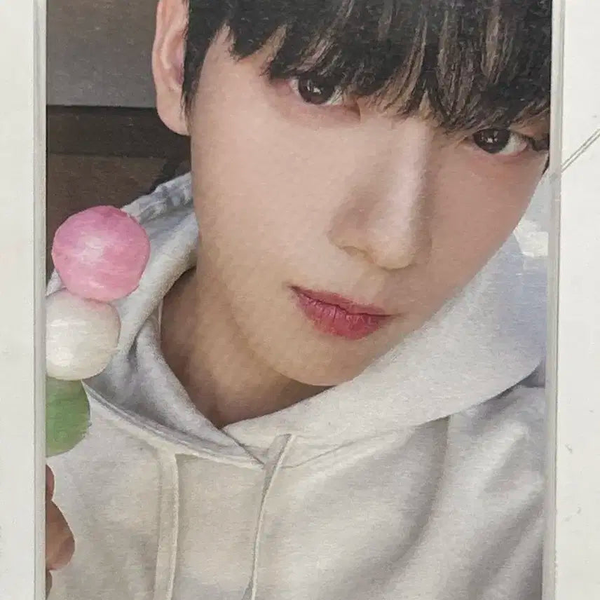 당고수빈 판매합니다