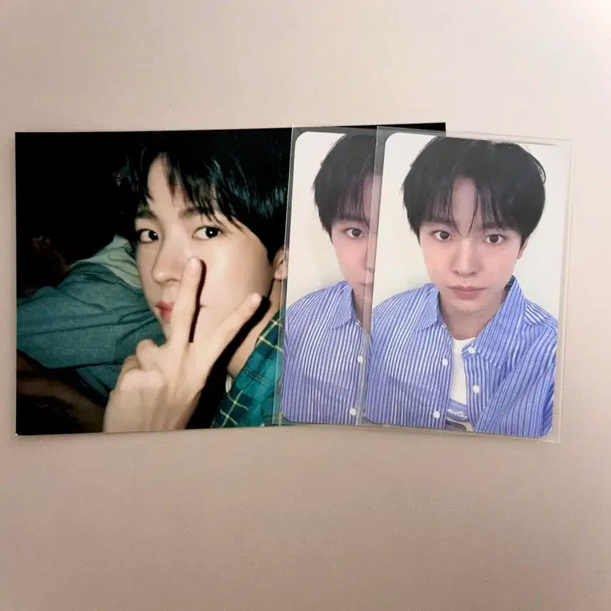 엔시티 위시 유우시 송버드 올엠디 포카 전시회 엠디 포토필름 양도