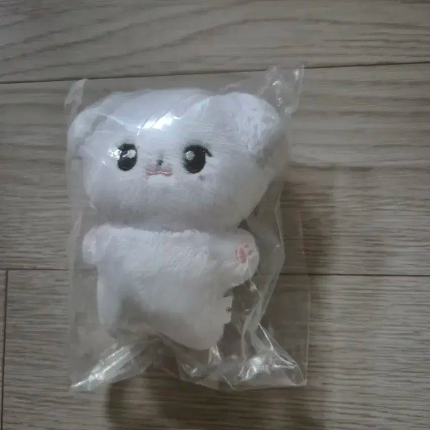 아이유인형 징티쥬 미개봉