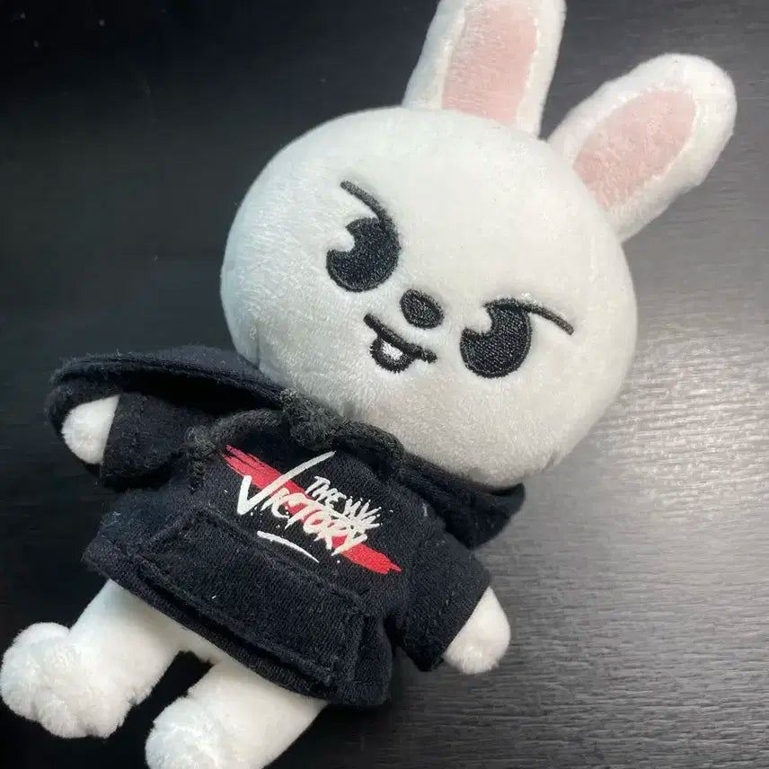 스트레이키즈 리노 미니리빗 판매